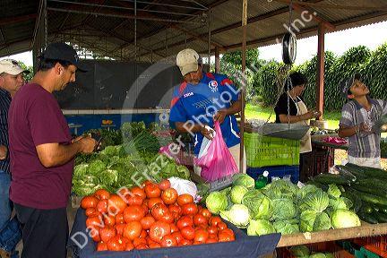 Outdoor produce market at Venecia, Costa Rica.