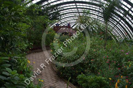 Butterfly gardens in the Selvatura Adventure Park located in the Cloud Forest of Monteverde, Costa Rica.