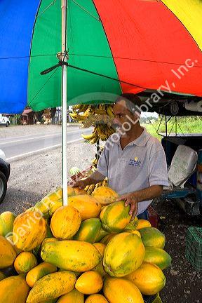 Street vendor selling papayas near Siquirres, Limon province, Costa Rica.