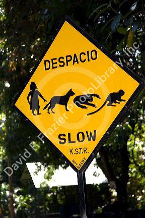 Road sign warning of people and animal crossing at the Manuel Antonio National Park in Puntarenas province, Costa Rica.