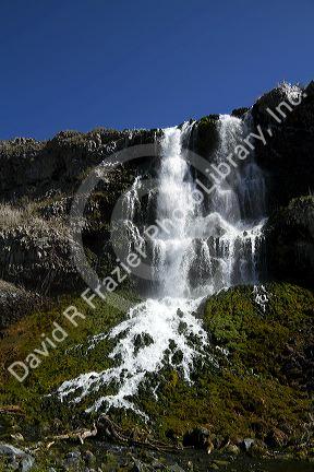 Natural spring water flowing out of lava rock at the Thousand Springs area of the Snake River in the Hagerman Valley, Idaho, USA.