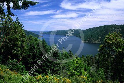 Saanich Inlet, Vancouver Island, British Columbia.