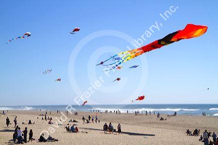 People flying kites along the D River in Lincoln City, Oregon, USA.