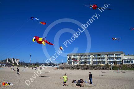 People flying kites along the D River in Lincoln City, Oregon, USA.