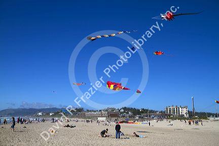 People flying kites along the D River in Lincoln City, Oregon, USA.