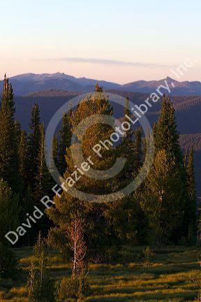 View from the summit of Green Mountain along the historic Magruder Corridor road that devides the Frannk Church-River of No Return Wilderness Area and the Selway-Bitterwoot Wilderness in Idaho, USA.