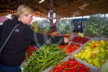 Woman shopping for a variety of peppers at an outdoor farmers' market in Fruitland, Idaho, USA. MR