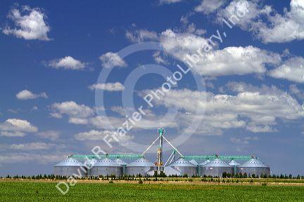 Grain silo's and farmland on the pampas of Argentina.
