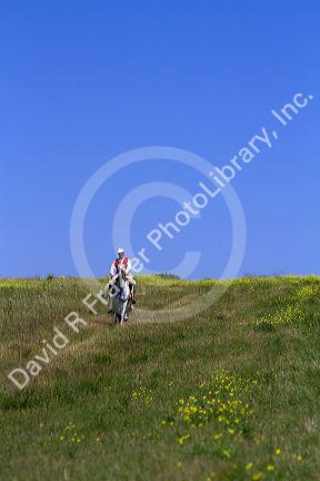 Gaucho riding horseback on the Pampas of Argentina.