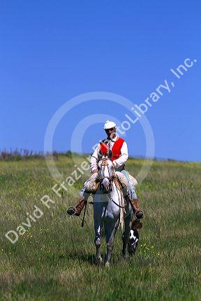 Gaucho riding horseback on the Pampas of Argentina.