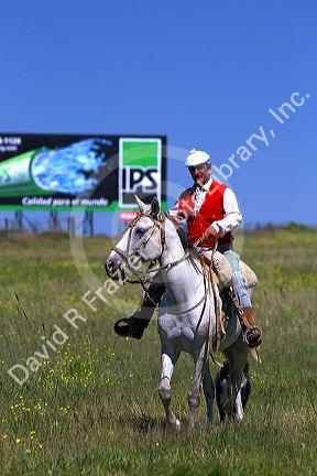 Gaucho riding horseback on the Pampas of Argentina.