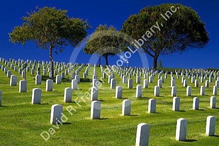 Fort Rosecrans National Cemetery at Point Loma, San Diego, California, USA.