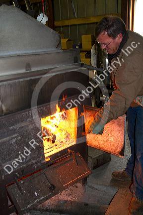 Worker fueling a wood fire used to heat maple sap in a sugar shack at Lake Odessa, Michigan, USA.