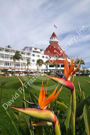 Hotel Del Coronado, California, USA.