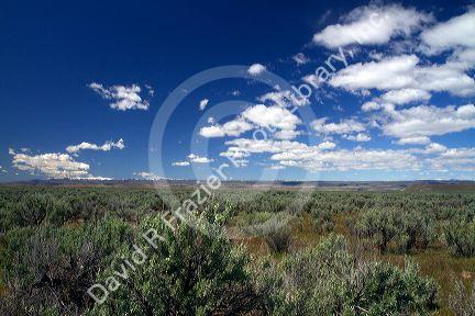 Sagebrush desert in Elmore County, Idaho, USA.