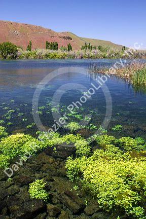 The Snake River at Thousand Springs State Park in the Hagerman Valley, Idaho, USA.