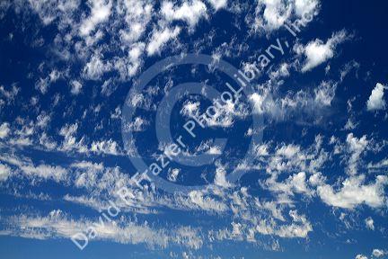 Cirrus clouds in the blue sky.