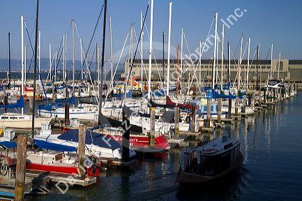 Boats docked at Pier 39 marina in San Francisco, California, USA.