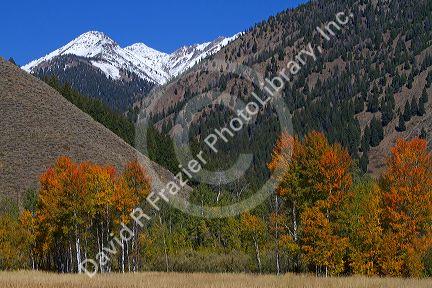 The Pioneer Mountains near Sun Valley, Idaho, USA.