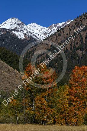 The Pioneer Mountains near Sun Valley, Idaho, USA.