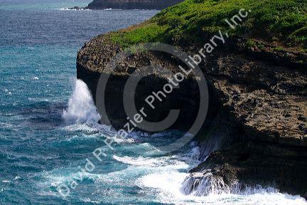 Pacific ocean waves crash against the lava peninsula of Kilauea Point National Wildlife Refuge on the island of Kauai, Hawaii, USA.