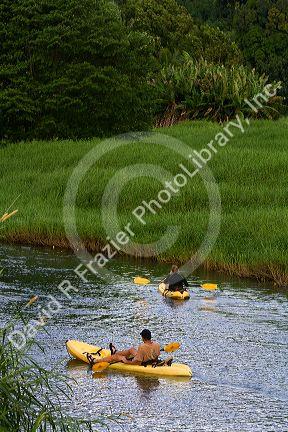 Kayaking the Hanalei River on the island of Kauai, Hawaii, USA.