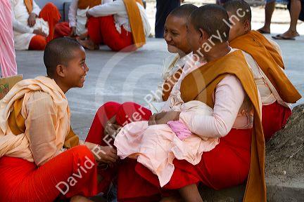 Young buddhist nuns socialize in (Rangoon) Yangon, (Burma) Myanmar.