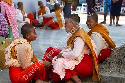 Young buddhist nuns socialize in (Rangoon) Yangon, (Burma) Myanmar.