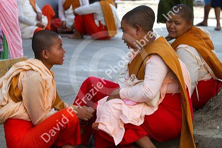 Young buddhist nuns socialize in (Rangoon) Yangon, (Burma) Myanmar.