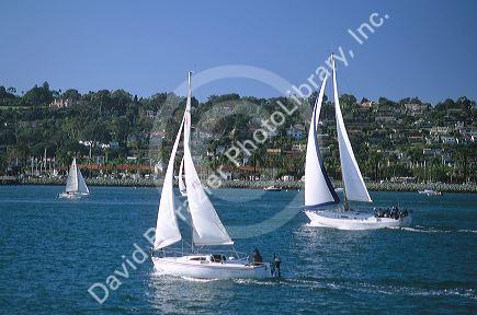 Sailboats in San Diego Harbor, California.