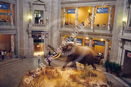 The Natural History Museum at the Smithsonian Institution in Washington D.C.