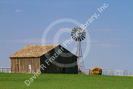 Barn and windmill on farmland near Dalhart, Texas, USA.