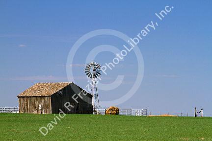 Barn and windmill on farmland near Dalhart, Texas, USA.