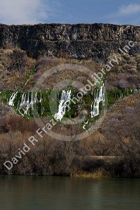 Springs at Thousand Springs State Park along the Snake River in the Hagerman Valley, Idaho, USA.