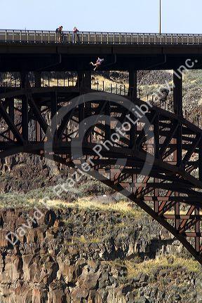 Base jumper leaps off the I.B. Perrine Bridge spans the Snake River canyon at Twin Falls, Idaho, USA.