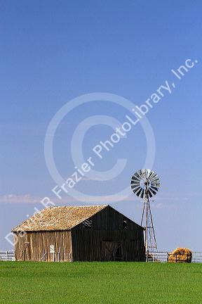 Barn and windmill on farmland near Dalhart, Texas, USA.