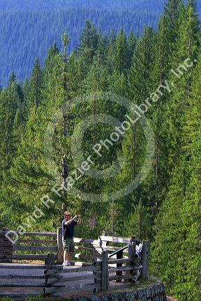 Scenic overlook in Mount Rainier National Park, Washington, USA