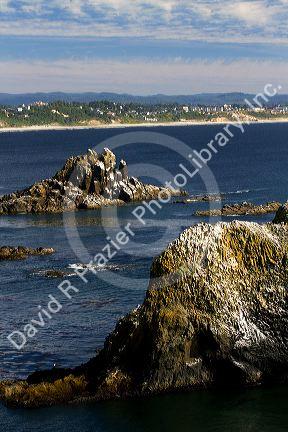 The Pacific Ocean coast at Newport, Oregon, USA.