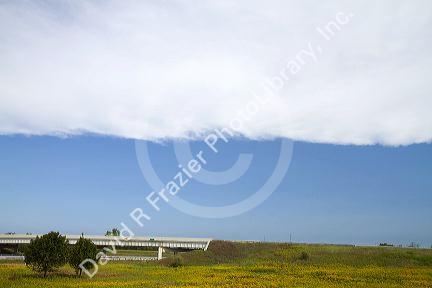 The leading edge of a cold front approaching blue sky in central Michigan, USA.