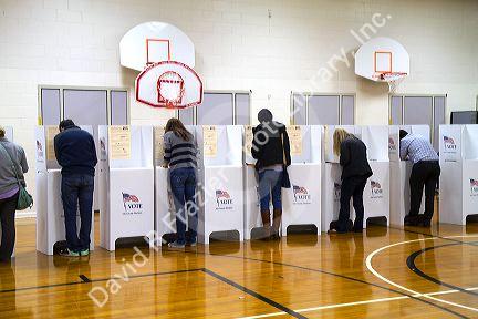 People vote in cardboard voting booths at a polling station in Boise, Idaho, USA.