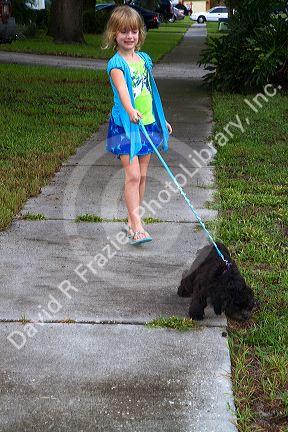Five year old girl walking a dog in Tampa, Florida, USA.