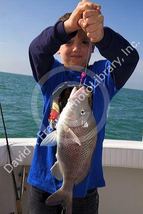 Eight year old boy fishing in the Gulf of Mexico off the coast of Florida, USA.