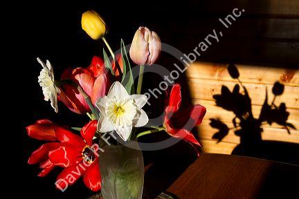 Still life of a flower arrangement with shadow in Boise, Idaho, USA.