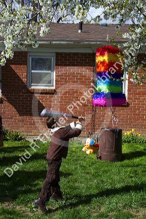Children hitting a pinata at a hispanic childs birthday party in Boise, Idaho, USA.