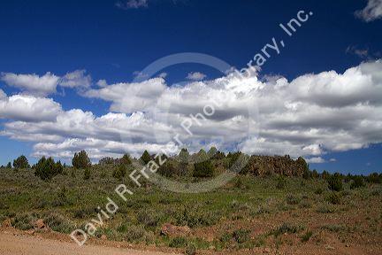 Scenic view along the Owyhee Uplands Backcountry Byway in Owyhee County, Idaho, USA.