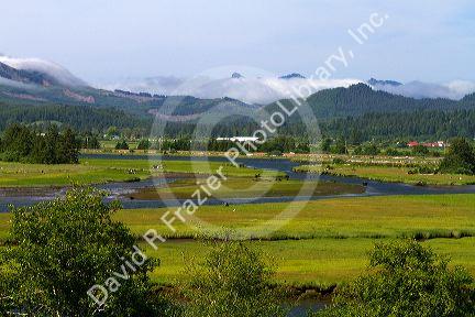 Coastal fog coming over the mountains near Nehalem in Tillamook County, Oregon, USA.