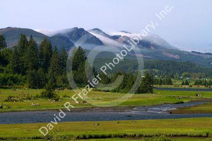 Coastal fog coming over the mountains near Nehalem in Tillamook County, Oregon, USA.