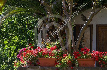 Flower pots at Puente La Reina a Basque town along the Way of St. James pilgrimage route, Navarra, Spain.