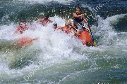 White water rafting on the Payette River, Idaho.