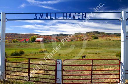 Small Haven farm near Weston, Idaho, USA.